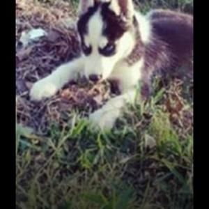 Meet your Posher, Francisco